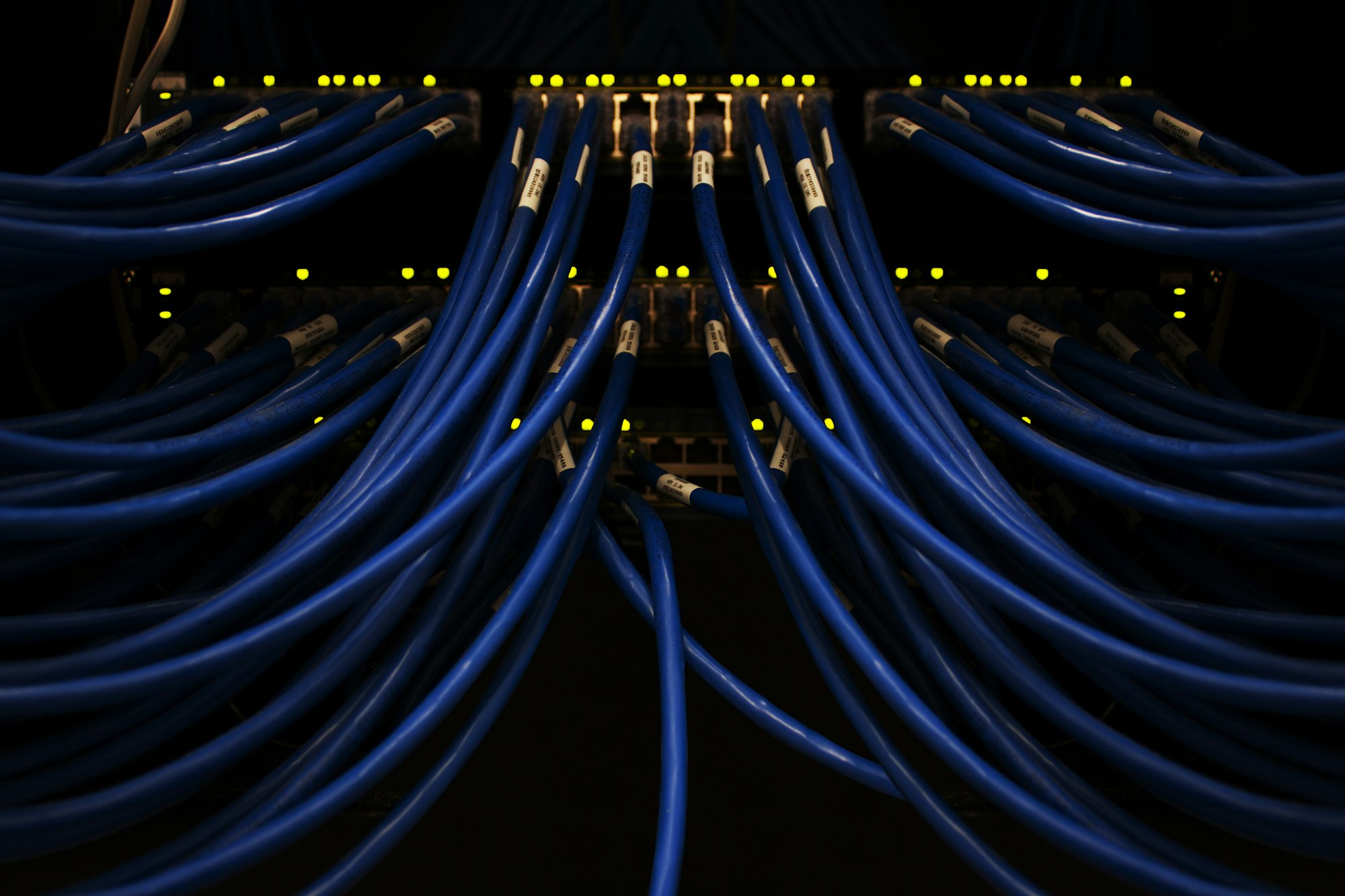 Macro shot of database server connectivity and fiber optics